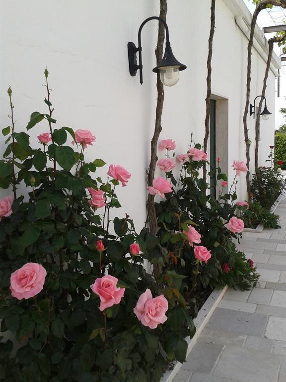 La Ferula Agriturismo B&B Santeramo in Colle Esterno foto